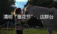 清明“蠶花節”，這群臺灣同胞來桐鄉河山“軋鬧猛”