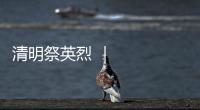 清明祭英烈 ｜今天，為他們獻花