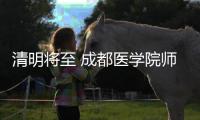 清明將至 成都醫學院師生致敬“無語老師”