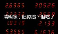 清明螺，肥似鵝？但吃了這樣的“田螺”，為何肚子寶寶就沒(méi)了？