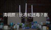 清明蔗：比毒蛇還毒？醫(yī)生再次辟謠：這種蔗還真得擔心
