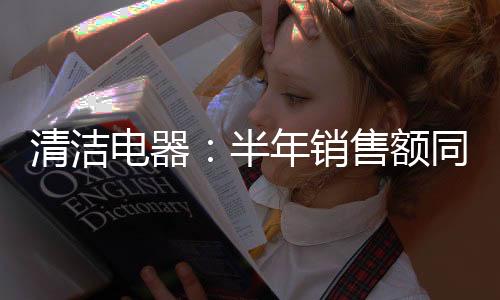清潔電器：半年銷售額同比增長超40%（圖）