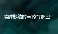 清肺散結(jié)的草藥有哪些,清肺散結(jié)的中藥方劑推薦
