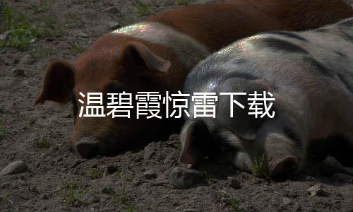 溫碧霞驚雷下載