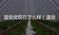 溫俊武現在怎么樣（溫俊武）