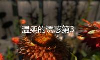 溫柔的誘惑第3