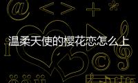 溫柔天使的櫻花戀怎么上了熱搜?