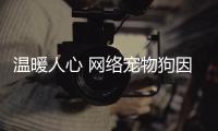 溫暖人心 網絡寵物狗因基因缺陷微笑待人