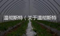 溫徹斯特（關(guān)于溫徹斯特的基本情況說(shuō)明介紹）