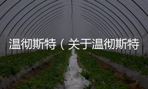 溫徹斯特（關(guān)于溫徹斯特的基本情況說明介紹）