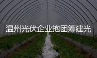 溫州光伏企業抱團籌建光伏發電站,行業資訊