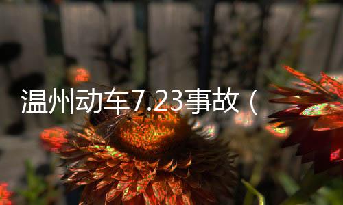 溫州動車7.23事故（溫州動漫節）