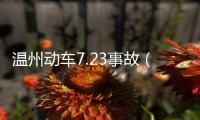溫州動車7.23事故（溫州動漫節）