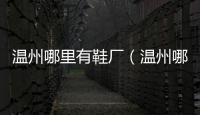 溫州哪里有鞋廠（溫州哪里鞋廠多）
