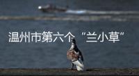 溫州市第六個(gè)“蘭小草”愛心宣傳日活動(dòng)在我區(qū)舉行