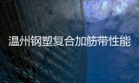 溫州鋼塑復合加筋帶性能說明