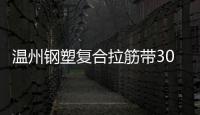 溫州鋼塑復合拉筋帶30020C廠家電話
