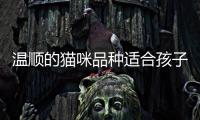 溫順的貓咪品種適合孩子養