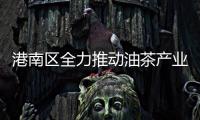 港南區全力推動油茶產業高質量發展