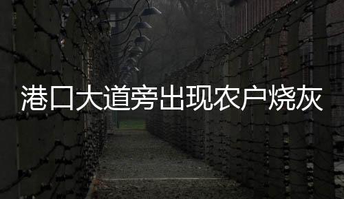 港口大道旁出現農戶燒灰積肥