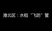 港北區(qū)：水稻“飛防”管理 科技助農(nóng)增收
