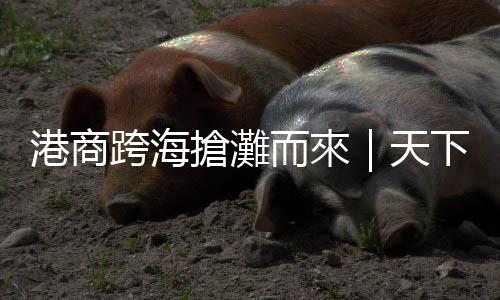 港商跨海搶灘而來｜天下雜誌