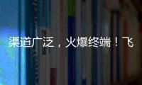 渠道廣泛，火爆終端！飛凰梅子醋果汁飲料火爆招商！
