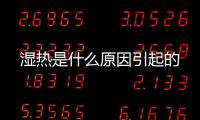 濕熱是什么原因引起的