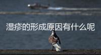 濕疹的形成原因有什么呢 如何治療濕疹呢