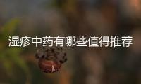 濕疹中藥有哪些值得推薦的？