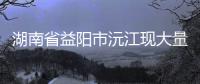 湖南省益陽市沅江現大量白色飛蟲 專家科普是原始生物蜉蝣