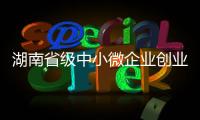 湖南省級(jí)中小微企業(yè)創(chuàng)業(yè)創(chuàng)新基地突破百家
