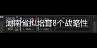 湖南省擬培育8個戰略性新興產業