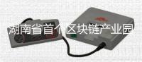 湖南省首個區(qū)塊鏈產(chǎn)業(yè)園在長沙開園