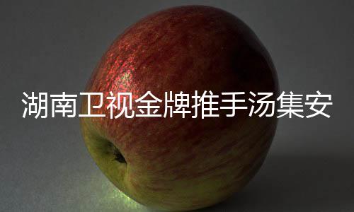 湖南衛視金牌推手湯集安作客海南高校分享推廣經驗