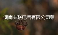 湖南共聯電氣有限公司榮獲“電纜附件最具影響力十大品牌”榮譽稱號