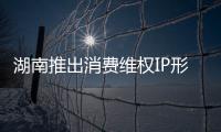 湖南推出消費(fèi)維權(quán)IP形象“湘消寶”