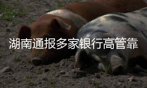 湖南通報多家銀行高管靠企吃企：套取資金私設(shè)小金庫獲利