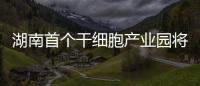 湖南首個干細胞產(chǎn)業(yè)園將開園 未來將打造千億級產(chǎn)業(yè)鏈