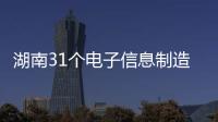 湖南31個電子信息制造業省級重點項目建設快馬加鞭