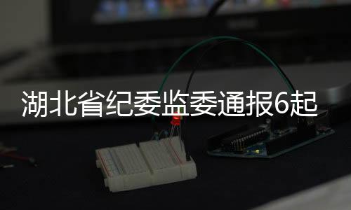 湖北省紀委監(jiān)委通報6起不擔當不作為典型案例