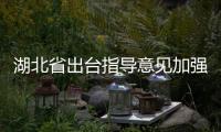 湖北省出臺指導意見加強地方立法研究和人才培養基地建設