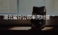 湖北省分公司率先對(duì)接“綠盾”工程視頻聯(lián)網(wǎng)
