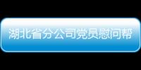 湖北省分公司黨員慰問幫扶對象感受鄉村新貌