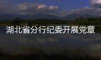湖北省分行紀委開展黨章黨規黨紀知識競賽
