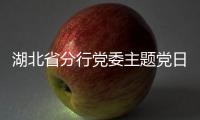 湖北省分行黨委主題黨日學習張富清