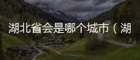 湖北省會是哪個城市（湖南省會是哪個城市）