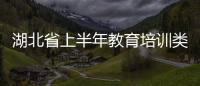 湖北省上半年教育培訓(xùn)類投訴增加近6倍