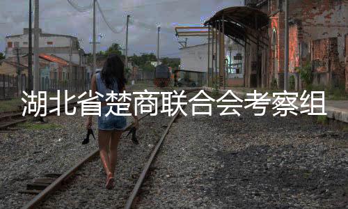湖北省楚商聯合會考察組到我州考察