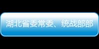 湖北省委常委、統戰部部長寧詠一行 到訪居然之家調研交流